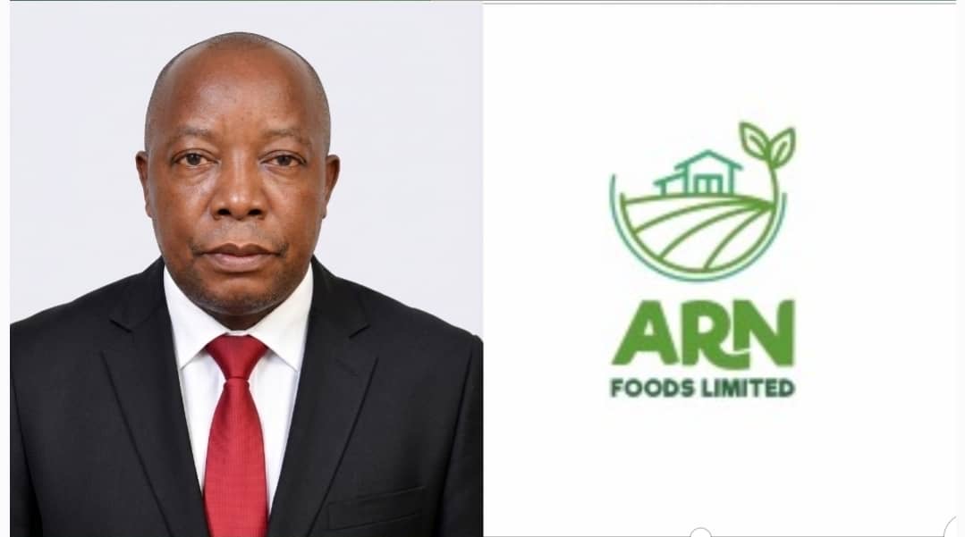 A.R.N. Foods appoints Chinedu Okere as MD, strengthens operations 