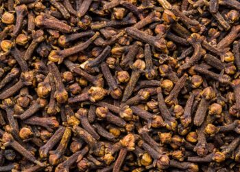 Nigeria to become Africa’s second commercial cloves producer with 74,000 farmers