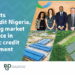 PIDG exits InfraCredit Nigeria signalling market confidence in domestic credit enhancement  