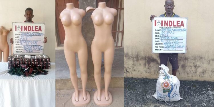 NDLEA nabs businessman trafficking 5.3kg tramadol to Cameroon in mannequins