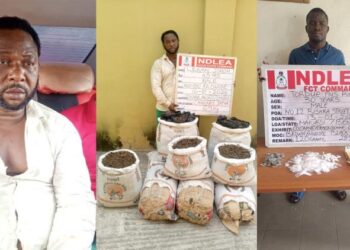 NDLEA nabs drug lord Lekan Jimoh, after 12-year manhunt 
