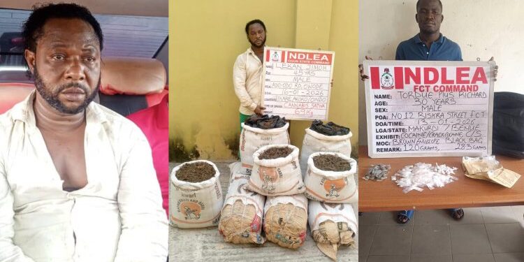NDLEA nabs drug lord Lekan Jimoh, after 12-year manhunt 
