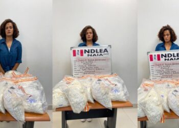 NDLEA arrests Brazilian woman with heroin worth N3 billion at Abuja airport 