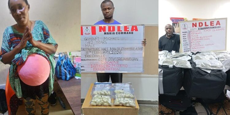NDLEA arrests Milan-bound passenger for ingesting 82 wraps of cocaine at Kano airport