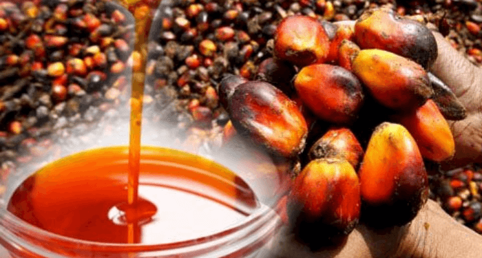 Nigeria palm oil output hits 1.57m tonnes in 2025