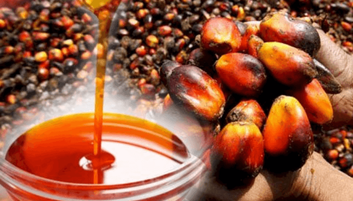 Nigeria palm oil output hits 1.57m tonnes in 2025