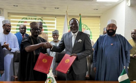 REA, ECOWAS sign $700,000 deal to electrify 15 institutions across Nigeria 