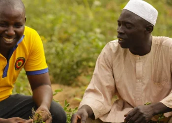 African Development Bank funds $200 million Nigeria’s climate-smart farming 