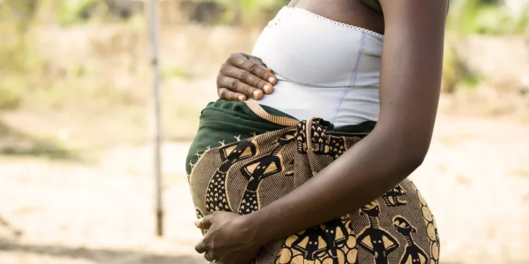Oxford research links heat exposure during pregnancy to decline in male births 