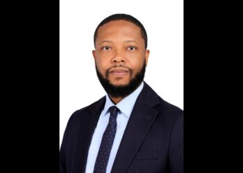 VNL Capital Asset Management Appoints Dr. Chiedu Ojemaye as Executive Director