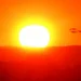 World Meteorological Organization reports 2015–2025 as hottest years ever recorded