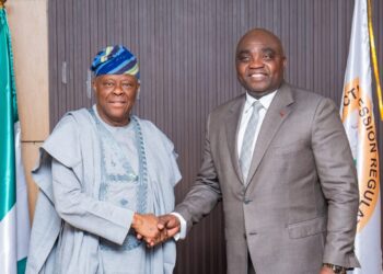 ICRC: 250MW Ikom Multipurpose Dam hydropower project begins under PPP framework 