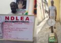 NDLEA arrests wanted drug kingpin after 13 years in hiding