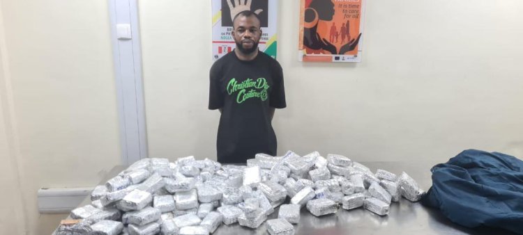 NDLEA seizes over 700,000 tramadol pills in Lagos, Kano, Kaduna 