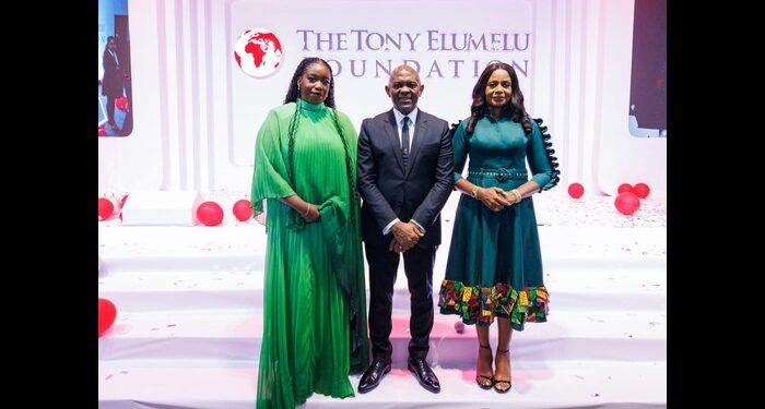 Tony elumelu Foundation