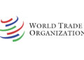 WTO reform talks in Yaounde face hurdles amid global tensions – Report