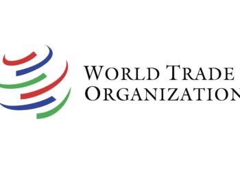 WTO reform talks in Yaounde face hurdles amid global tensions – Report