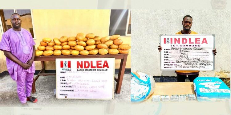 NDLEA arrests ex-Ibeju-Lekki councillor, Sheleru Olalekan, in drug trafficking crackdown