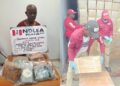 NDLEA arrests 74-year-old man with 11kg cocaine at Abuja airport