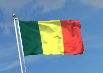 Mali imposes nightly curfew as coordinated attacks reach capital 