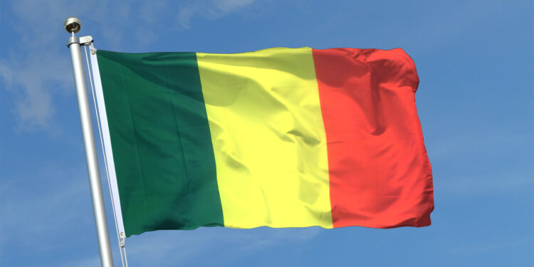 Mali imposes nightly curfew as coordinated attacks reach capital 