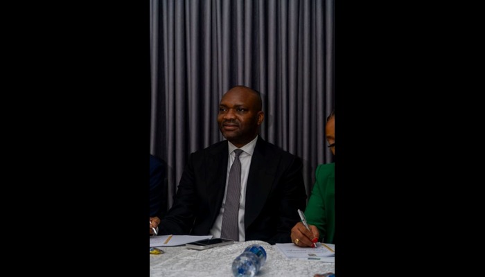 The NSIA Model: Catalyzing Development Through Sustainable Investments