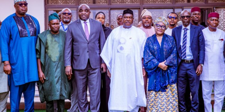 FG sets up committee to review $200 billion proposed gas, power and rail project