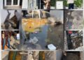 Lagos seals Balmoral Convention Centre, Foodies Restaurant over wastewater disposal