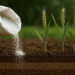 Urea prices to surge 60% in 2026 – World Bank
