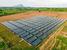Stop Losing Profit: Why Your Business Should Transition to Solar Energy Now